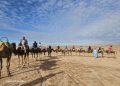 Marrakech : La Ville impériale marocaine riche en histoire et proche du désert