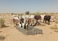 N’Guigmi ( Diffa) : Deux adductions d’eau potable réceptionnées à Waddi Ragam et Rimi