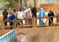 Niamey : Le Ministre de la jeunesse visite le Musée National Boubou Hama de Niamey