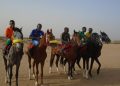 Zinder: La ligue régionale des sports équestres a organisé des courses de chevaux à l’occasion de la fête de Tabaski