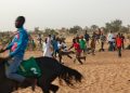 Dosso : Jeux traditionnels et courses hippiques pour célébrer la Tabaski