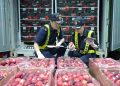 Le premier lot d’importations africaines bénéficiant de la nouvelle politique de droits de douane nuls a été dédouané à Shenzhen