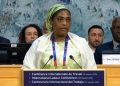 114ᵉ Session de la Conférence internationale du Travail : La Ministre de la fonction publique porte la voix du Niger dans les instances de l&rsquo;OIT et des organisations internationales à Genève