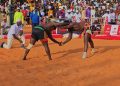 Coupe Airtel Kokowa Tahoua 2026 : Plus que quatre lutteurs invaincus pour les demi-finales