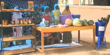 A Danfountoua (Zinder), la résilience porte ses fruits : « Aujourd’hui, nous pouvons vivre de notre travail » (Témoignage)