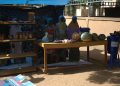 A Danfountoua (Zinder), la résilience porte ses fruits : « Aujourd’hui, nous pouvons vivre de notre travail » (Témoignage)