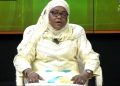 Énergie : Le Niger accélère ses projets stratégiques et renforce sa coopération au sein de l&rsquo;AES (Pr Haoua Amadou.)