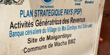 Zinder : les FARN, un levier efficace dans la lutte contre la malnutrition à Maïgardayé