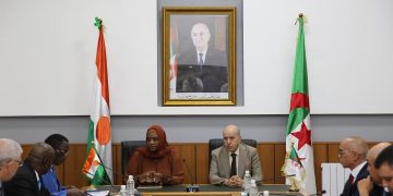 Coopération : le Niger et l’Algérie renforcent leur partenariat dans les domaines du travail, de l’emploi et de la sécurité sociale