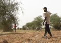 Tillabéri : 95 % des villages agricoles ont effectué des semis partiels de mil à la deuxième décade de juillet 2026