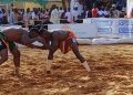 Coupe de la lutte du Ministre de la Jeunesse, des Sports et de la Culture Tahoua 2026 : Les 4 gladiateurs qualifiés pour les 1/2 des finales connus