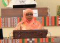 Niger: ‘’Pas de véritable développement sans souveraineté énergétique’’ (Ministre de l’énergie)  